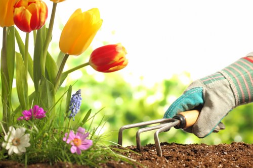 The image shows a gardenerâ€™s hand wearing a protective glove, using a hand cultivator to aerate and loosen dark, rich soil in a landscaped garden area. To the left, there is a cluster of vibrant, multi-colored tulips with red and yellow petals, alongside small purple, pink, and white flowering plants, all growing in a well-maintained flower bed bordered by lush green foliage. The background features a bright outdoor setting with natural sunlight illuminating the scene, suggesting mild weather conditions suitable for gardening activities. The surrounding environment includes neatly arranged garden elements, possibly part of a residential outdoor space near Mill Hill, with a focus on healthy plant growth and soil care. This scene highlights typical gardening tasks such as planting, soil preparation, and flower bed maintenance, relevant to professional gardening services offered by Lawn Mowing Mill Hill.