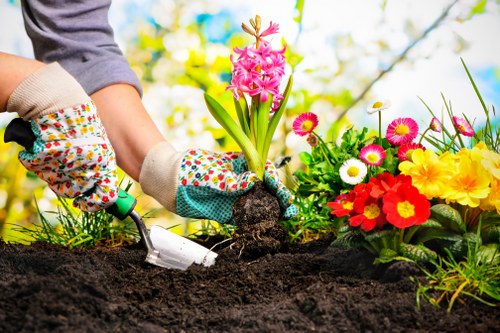 A gardener wearing multicoloured floral gloves is shown planting a pink hyacinth bulb into dark, rich soil in a garden bed. To the right, there is a vibrant flower bed filled with a variety of blooming flowers, including red, yellow, white, and pink blossoms, surrounded by green foliage. In the background, blurred green leaves and branches suggest a lush garden environment under natural daylight, likely during spring or early summer. The garden space features a well-maintained, landscaped outdoor area with a mix of cultivated flower beds and open soil patches. The scene emphasizes gardening activities typical of lawn and garden care, fitting for a professional landscaping service like Lawn Mowing Mill Hill, serving the Mill Hill area in North London. This detailed, naturalistic environmental setting highlights a focus on planting, soil preparation, and vibrant floral displays, consistent with professional gardening expertise.