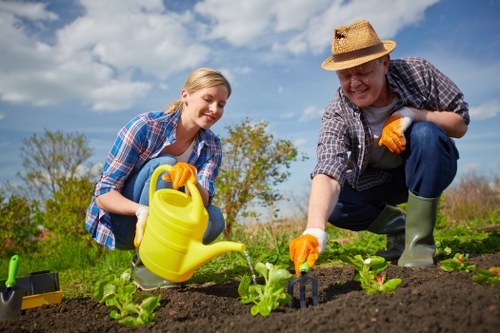 A cheerful young woman and an older man are working together in a well-maintained garden, planting young green vegetables or herbs in a neatly tilled bed with dark, fertile soil. The woman, dressed in a blue checkered shirt and jeans, is holding a yellow watering can, while the man, wearing a straw hat, checkered shirt, and green rubber boots, is crouched down, using a small gardening tool to tend to the plants. Behind them, the garden features a grassy area with scattered trees and bushes under a partly cloudy sky, suggesting a pleasant day for outdoor gardening in Mill Hill. The scene exemplifies active garden maintenance and planting, with healthy, vibrant foliage and a natural outdoor environment, suitable for professional gardening or lawn care services such as those offered by Lawn Mowing Mill Hill. The overall environment appears fresh and well-organized, emphasizing a commitment to outdoor landscaping and horticultural care in a suburban setting within the Mill Hill area, Haringey, London.
