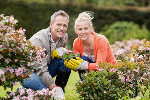 A man and a woman are kneeling together in a well-maintained garden, surrounded by flowering shrubs with pink and purple blossoms. They are smiling and wearing gardening gloves, indicating active engagement in gardening tasks. The background shows a lush, green hedge and a blurred outdoor environment, suggesting a spacious residential garden typical of Mill Hill, London. The bright, natural daylight illuminates the scene, highlighting the vibrant colors of the flowers, foliage, and the gardeners' clothing. Their posture and expressions convey enjoyment and satisfaction in caring for the garden, which features a mix of flowering plants and manicured shrubbery, typical of professional gardening and outdoor maintenance services offered in the area by Lawn Mowing Mill Hill. This image exemplifies the type of garden enhancement and upkeep that local gardening specialists can provide to ensure healthy, attractive outdoor spaces.